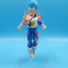 vegeta